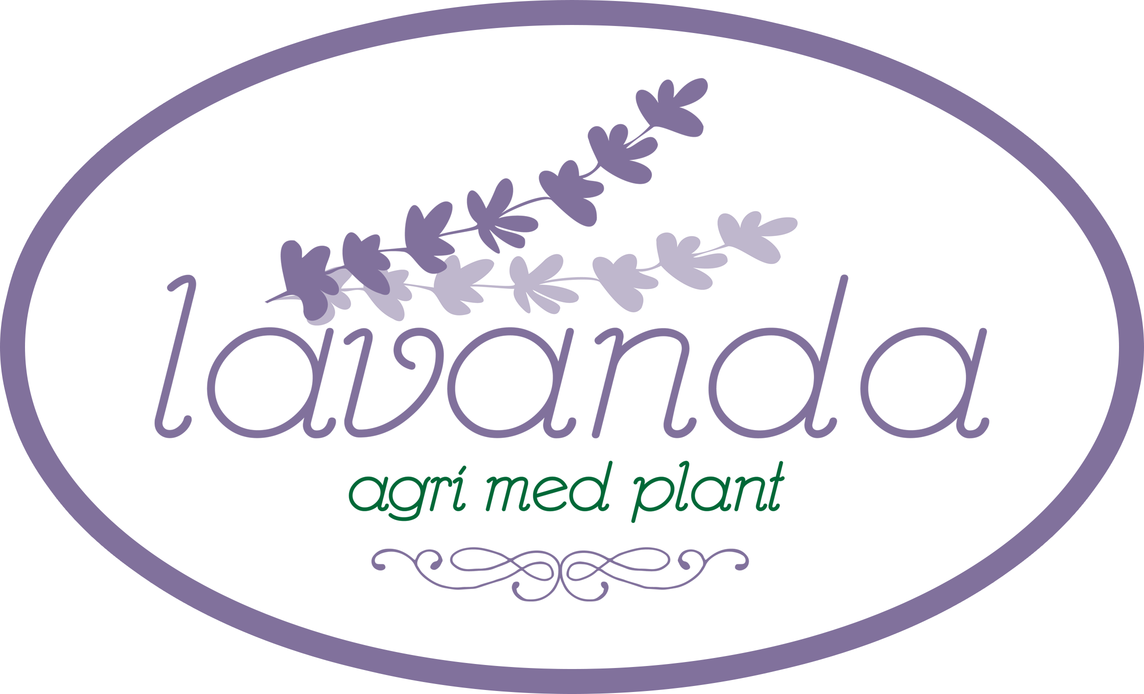 Lavanda Med Plant SRL